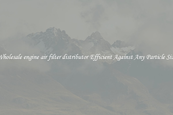 Wholesale engine air filter distributor Efficient Against Any Particle Size
