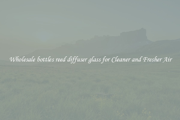 Wholesale bottles reed diffuser glass for Cleaner and Fresher Air
