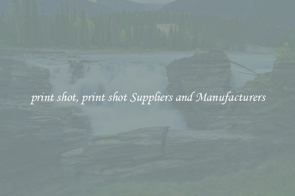 print shot, print shot Suppliers and Manufacturers