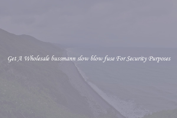 Get A Wholesale bussmann slow blow fuse For Security Purposes