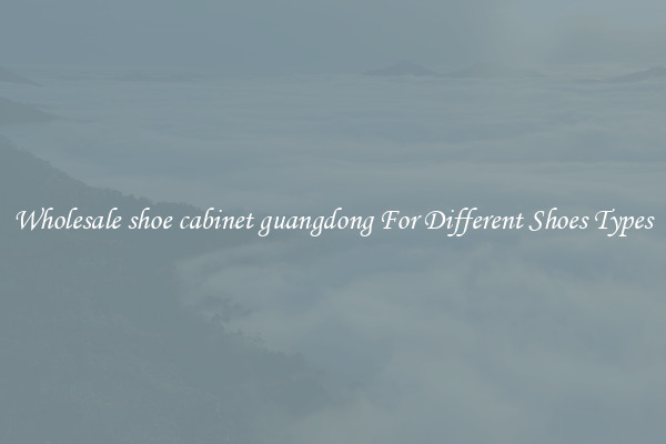 Wholesale shoe cabinet guangdong For Different Shoes Types