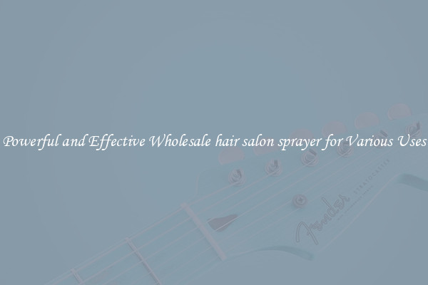 Powerful and Effective Wholesale hair salon sprayer for Various Uses
