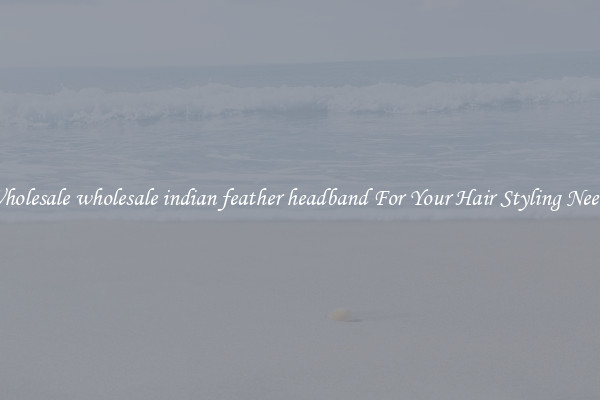Wholesale wholesale indian feather headband For Your Hair Styling Needs