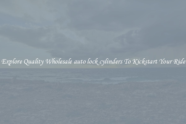 Explore Quality Wholesale auto lock cylinders To Kickstart Your Ride