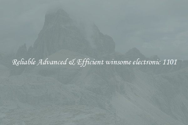 Reliable Advanced & Efficient winsome electronic 1101