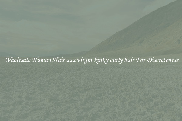 Wholesale Human Hair aaa virgin kinky curly hair For Discreteness