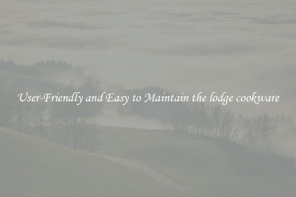 User-Friendly and Easy to Maintain the lodge cookware