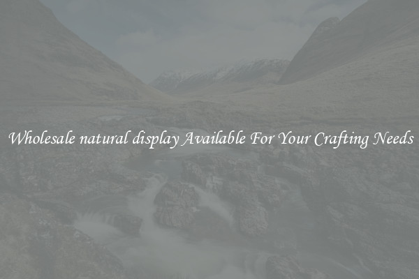 Wholesale natural display Available For Your Crafting Needs