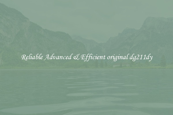 Reliable Advanced & Efficient original dg211dy
