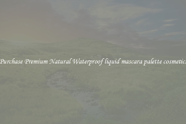 Purchase Premium Natural Waterproof liquid mascara palette cosmetics