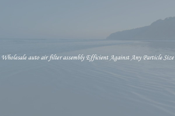 Wholesale auto air filter assembly Efficient Against Any Particle Size
