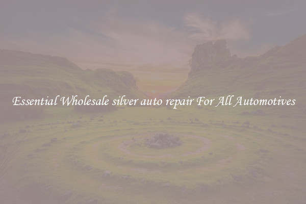 Essential Wholesale silver auto repair For All Automotives