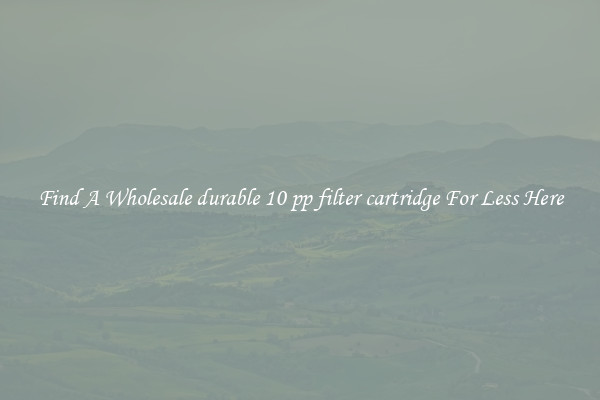 Find A Wholesale durable 10 pp filter cartridge For Less Here