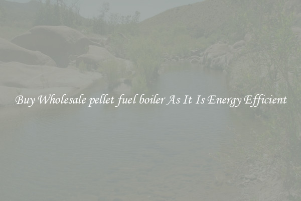 Buy Wholesale pellet fuel boiler As It Is Energy Efficient