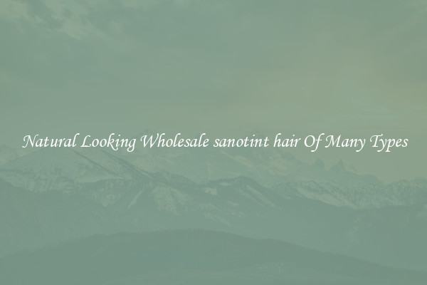 Natural Looking Wholesale sanotint hair Of Many Types