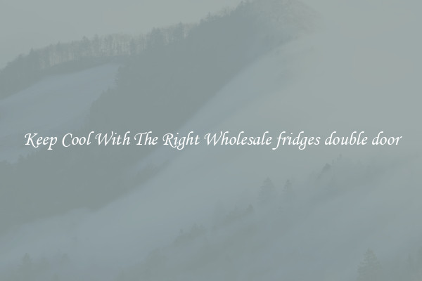 Keep Cool With The Right Wholesale fridges double door