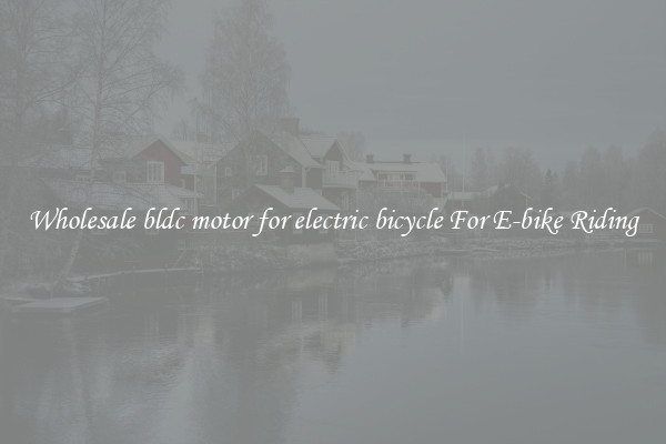 Wholesale bldc motor for electric bicycle For E-bike Riding