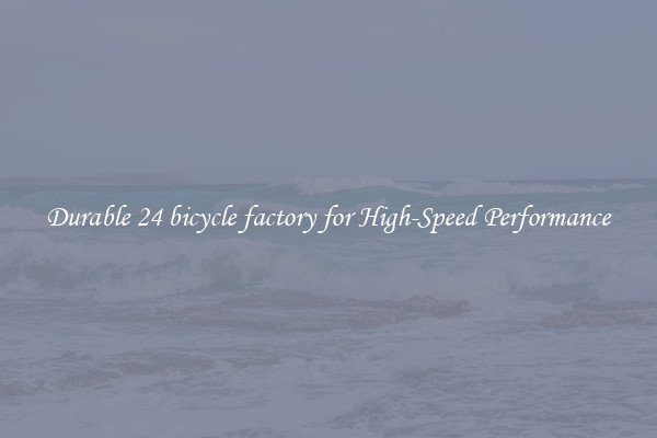Durable 24 bicycle factory for High-Speed Performance