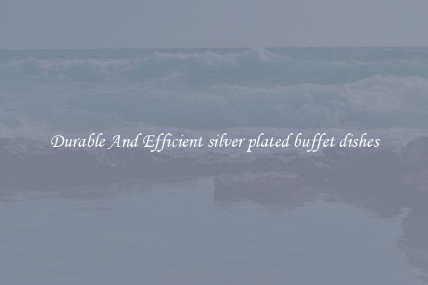 Durable And Efficient silver plated buffet dishes