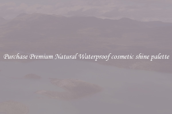 Purchase Premium Natural Waterproof cosmetic shine palette