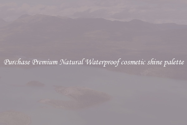 Purchase Premium Natural Waterproof cosmetic shine palette