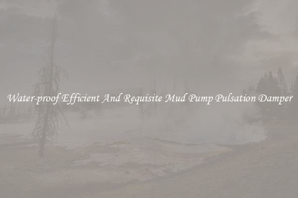 Water-proof Efficient And Requisite Mud Pump Pulsation Damper