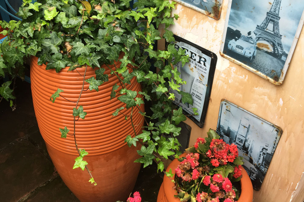 91免费看片软件