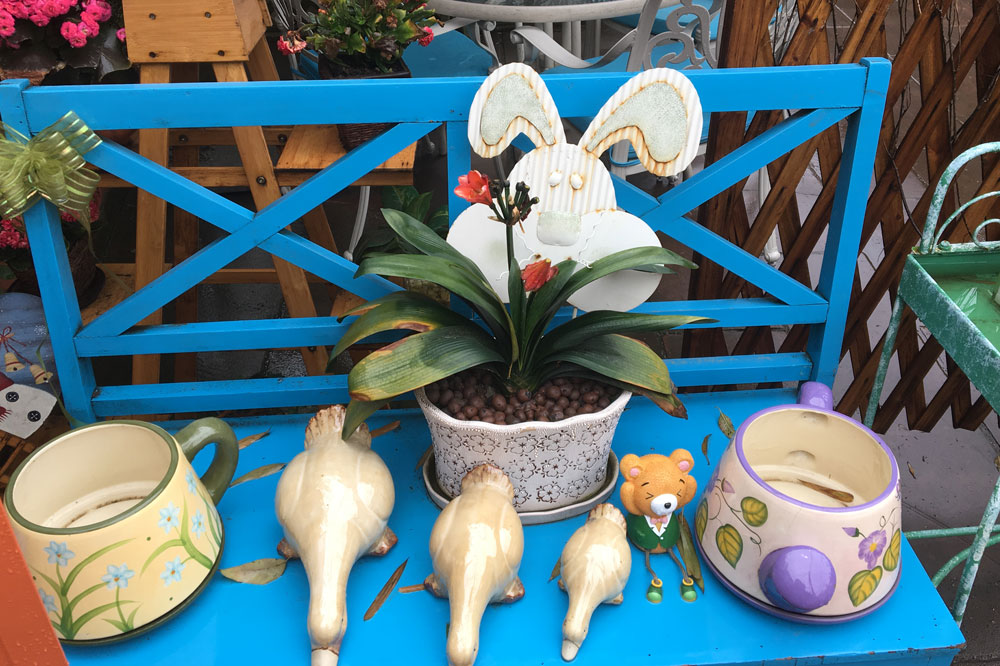 91免费看片软件