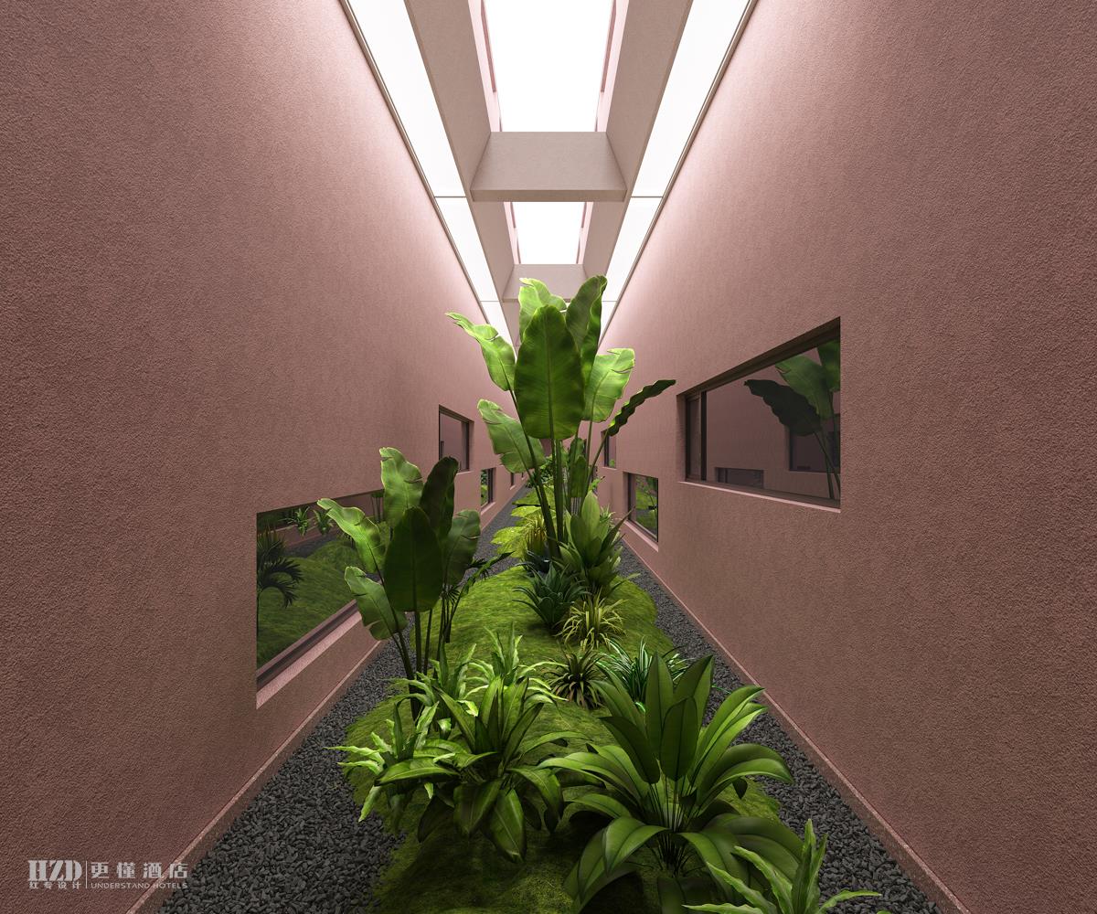 专业成人看片免费网站设计